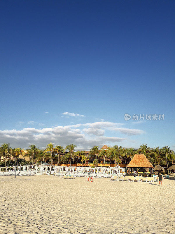 美丽的加勒比海海滩，美丽的卡门。Mayan Riviera, Quintana Roo，尤卡坦，墨西哥。